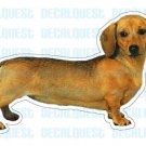 DACHSHUND-Dog Decal -sticker dogs car got window gift