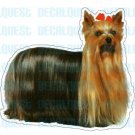 YORKSHIRE TERRIER- Dog Decal-sticker car got yorkie