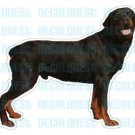 ROTTWEILER-Dog Decal-rot sticker car got rotweiler