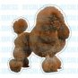 TOY POODLE-Dog Decal-sticker car got window gift