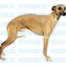 WHIPPET-Dog Decal-sticker car got window graphic