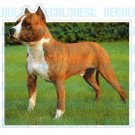 PITBULL-Dog Decal-sticker car got pit bull graphic
