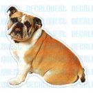 BULLDOG-Dog Decal-sticker bull dogs car got window