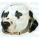 DALMATIAN-Dog Decal-sticker dogs car got window