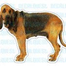 BLOODHOUND-Dog Decal-blood hound sticker gift car