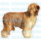 BRIARD-Dog Decal-sticker car got graphic sticker