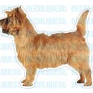 CAIRN TERRIER-Dog Decal-sticker dogs car got