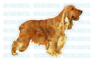 ENGLISH COCKER SPANIEL-Dog Decal-sticker car got