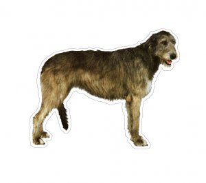IRISH WOLFHOUND Dog Decal sticker car got window