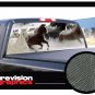 HORSES 1-16"x54"-Rear Window Graphic-compact truck suv