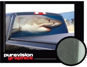 SHARK -16"x54"-Rear Window Graphic-compact truck