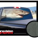 SHARK 22"x 65"- Rear Window Graphic-truck