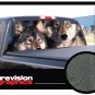 WOLVES 22"x 65" Rear Window Graphic back truck suv