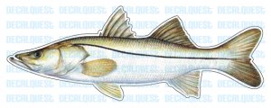 SNOOK Fish Decal window sticker truck fishing lure