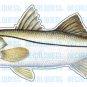 SNOOK Fish Decal window sticker truck fishing lure