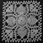 Two Afghan Pattern Books  FREE SHIPPING