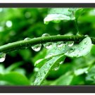 LILLIPUT 7" open frame 800x480 resistive HDMI/VGA touchscreen YL-7T LCD monitor