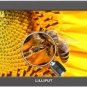 LILLIPUT 7" Q7  Full HD on-Camera Metal Slim SDI /HDMI cross conversion+LP-E6 Ba