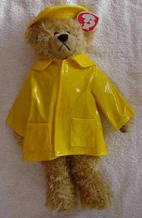 raincoat teddy bear