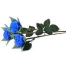 Simulation roses lights never fade roses blue