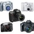 Learn How to Make Money with Your Digital Camera