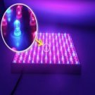 LED Grow Light "Red Dawn" - Super Harvest Colors Red and Blue, 225 LEDs, 14W