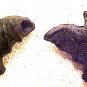 Bat 4 Pottery Beads