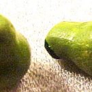 Fruit Pear Green 4 Pottery Beads