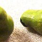 Fruit Pear Green 4 Pottery Beads