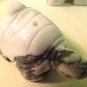 Turtle Carved Howlite Gemstone Bead