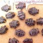 Fish 12 Large Purple Lampworked Beads