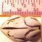 Frog Carved Bone Bead Style #2
