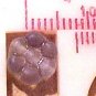 Flower 25 Gray Glass Mini Beads