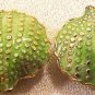 Seashell Clam Cloisonne Green 3 Beads