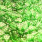 Leaves 25 Grass Green Glass Beads
