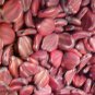 Leaves Drop 25 Maroon Striped Matte Glass Beads