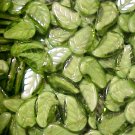 Leaves Curve 25 Olive Green Case Glass Beads