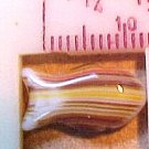 Fish Cracker Style 12 Brown Striped Beads