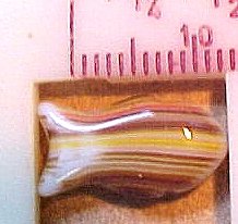Fish Cracker Style 12 Brown Striped Beads