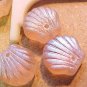 Seashell Clam 9 Pink Irridized Glass Beads
