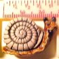 Snail 3 Clay Beads