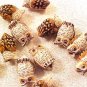 Owl 4 Brown Pottery Beads