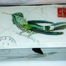 Bird Glass Box
