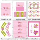 Pink Green Ladybug Printable Birthday Party Package #A165