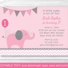 Pink Elephant Chevron Printable Birthday Invitation Editable PDF #A197