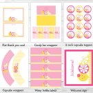 Pink Lemonade Printable Birthday Party Package #A303