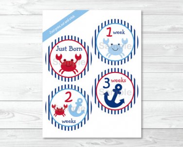 Nautical Crab Monthly Milestone DIY You Print PDF Stickers & Iron On Transfers #A182