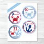 Nautical Crab Monthly Milestone DIY You Print PDF Stickers & Iron On Transfers #A182
