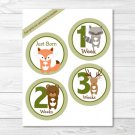 Woodland Animals Monthly Milestone DIY You Print PDF Stickers & Iron On Transfers #A191