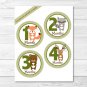 Woodland Animals Monthly Milestone DIY You Print PDF Stickers & Iron On Transfers #A191